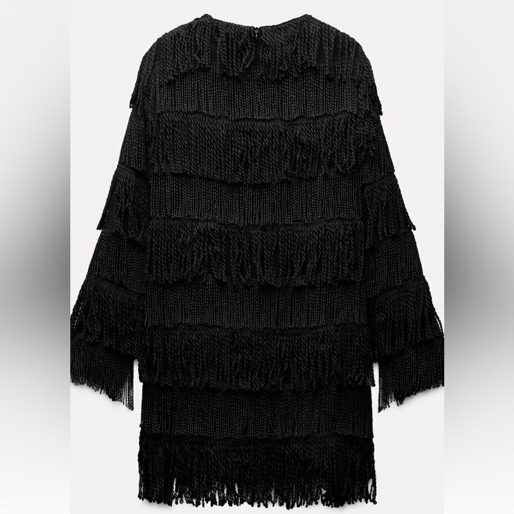 Zara fringe mini dress - Picture 4 of 6